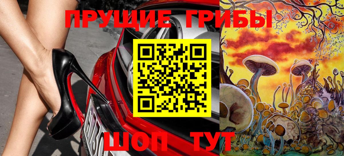 Галлюциногенные грибы GOLDEN TEACHER Волгоград