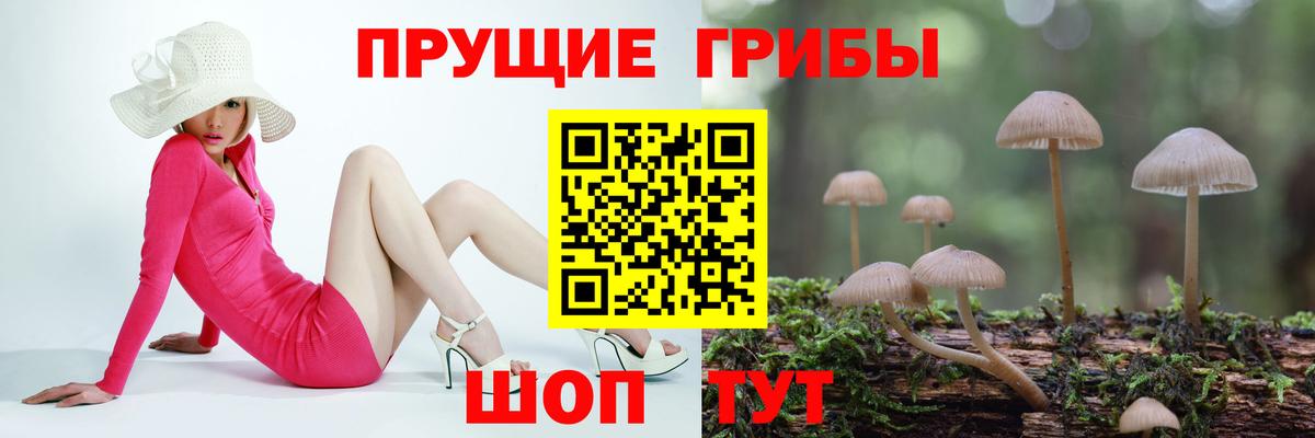 Волгоград  Псилоцибиновые грибы мухоморы  Вход с VPN  Псилоцибиновые грибы ЛСД 